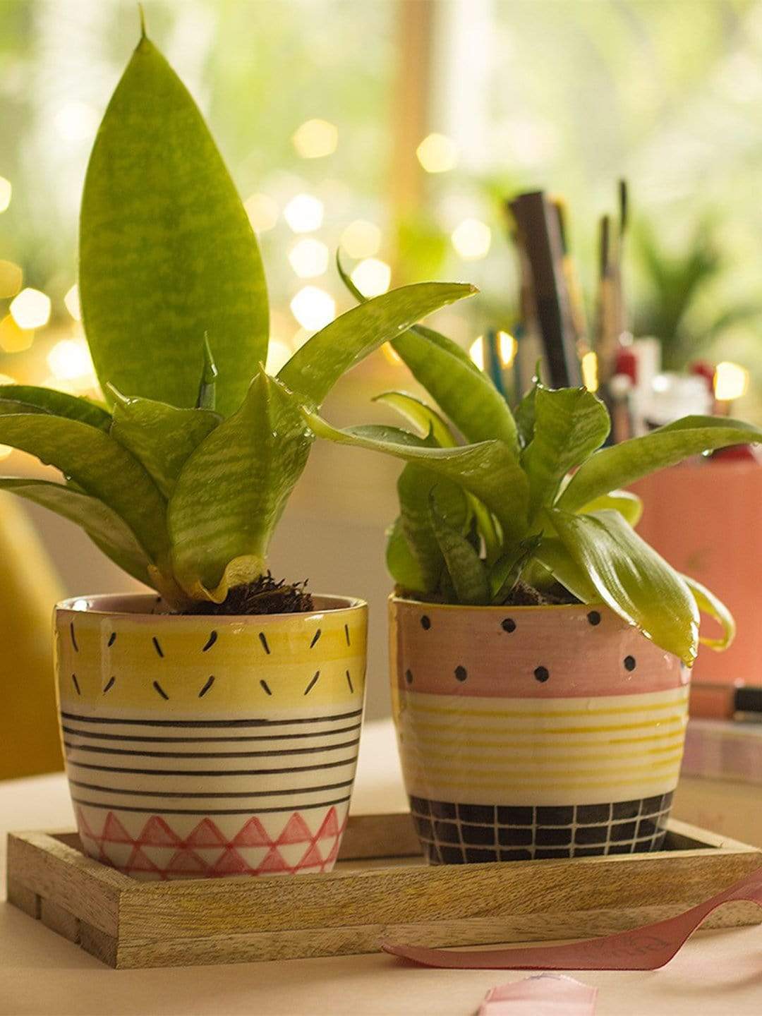 Mix & Match Patterns Planter - Set Of 2Material: Handpainted Handmade Stoneware
Dimensions: 3.50 Dia x 3 H Inches

Handle with care.Will Chip or Break on Impact. Clean with slightly damp cloth.

 Mix & Match Patterns Planter - SetThe Wishing Chair