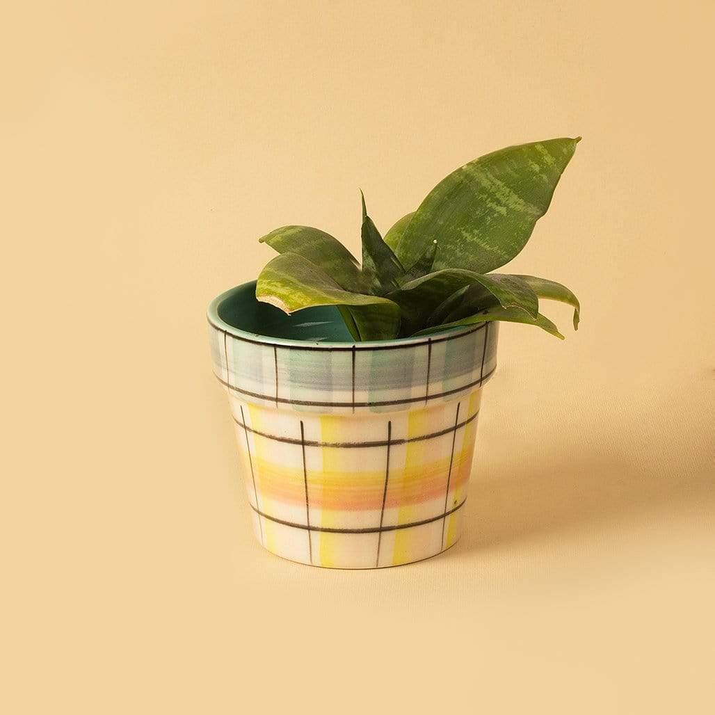 Pastel Perfection Planter - Checks - The Wishing Chair