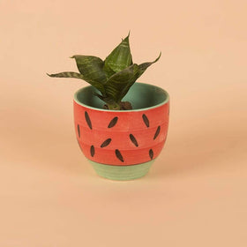  Watermelon Planter - Watermelon Planter - The Wishing Chair 